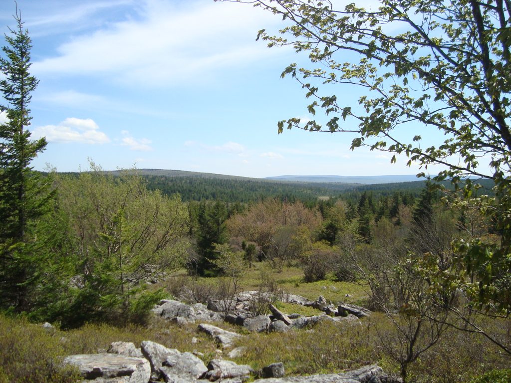 The West Virginia Historical Markers Project Created on WordPress